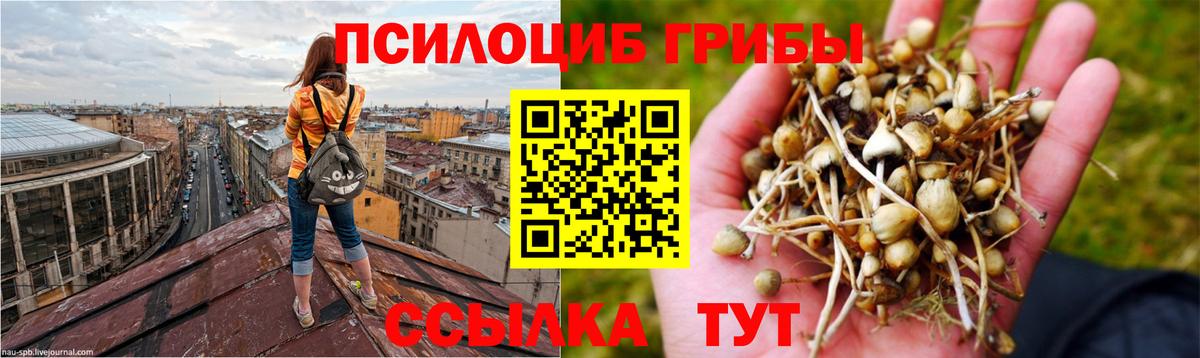 Псилоцибиновые грибы ЛСД Лесозаводск